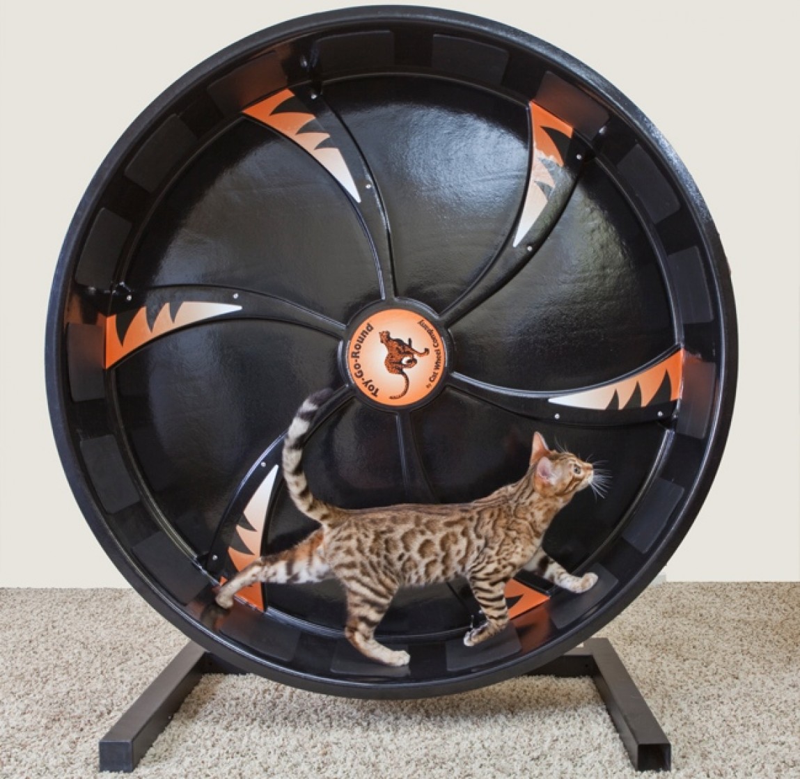 Cat Exercise Wheel by Cat Wheel Company